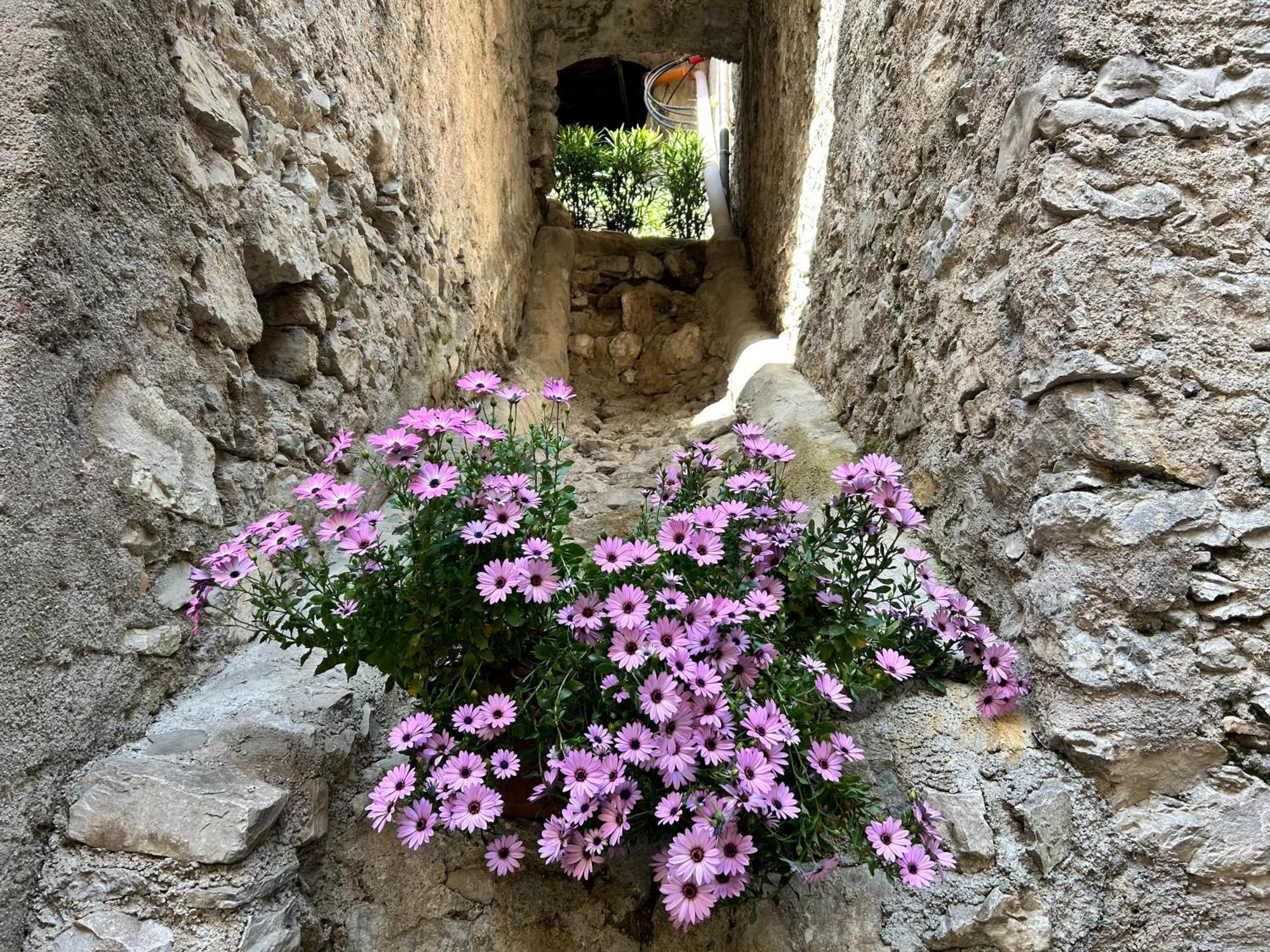 Studios Al Castello Dei Limoni Limone sul Garda Extérieur photo